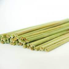 2025 El mejor vendedor de pajitas de hierba seca, accesorios ecológicos al por mayor para bebidas en Vietnam, promueve la bebida saludable - Product Image 4