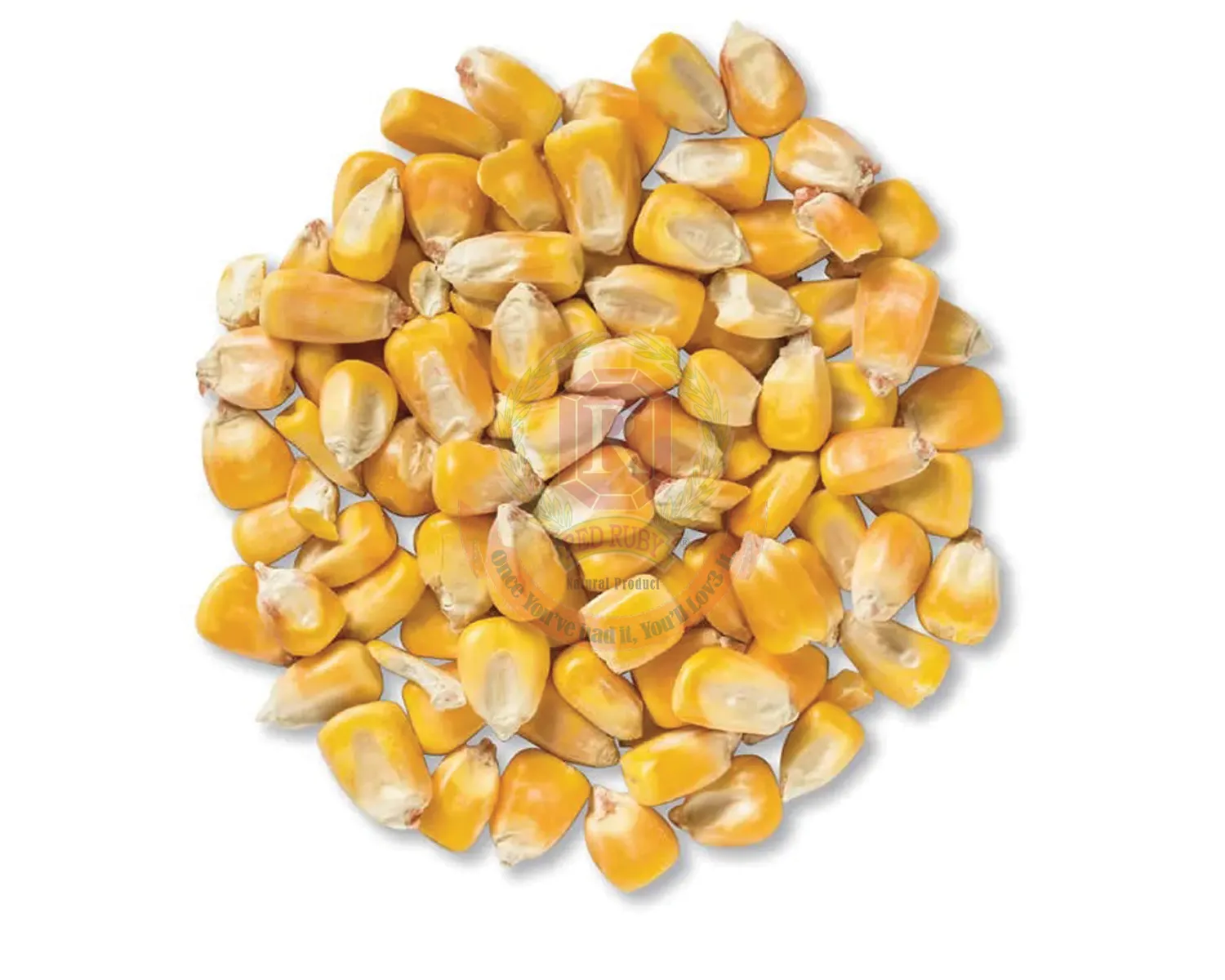 Yellow Corn/Maize