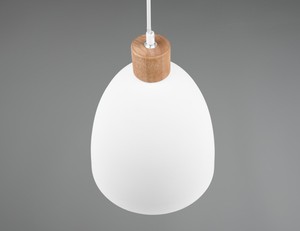 Lámpara colgante Jagger blanca E27 IP20 150cm (Trio R30681032) - Product Image 3