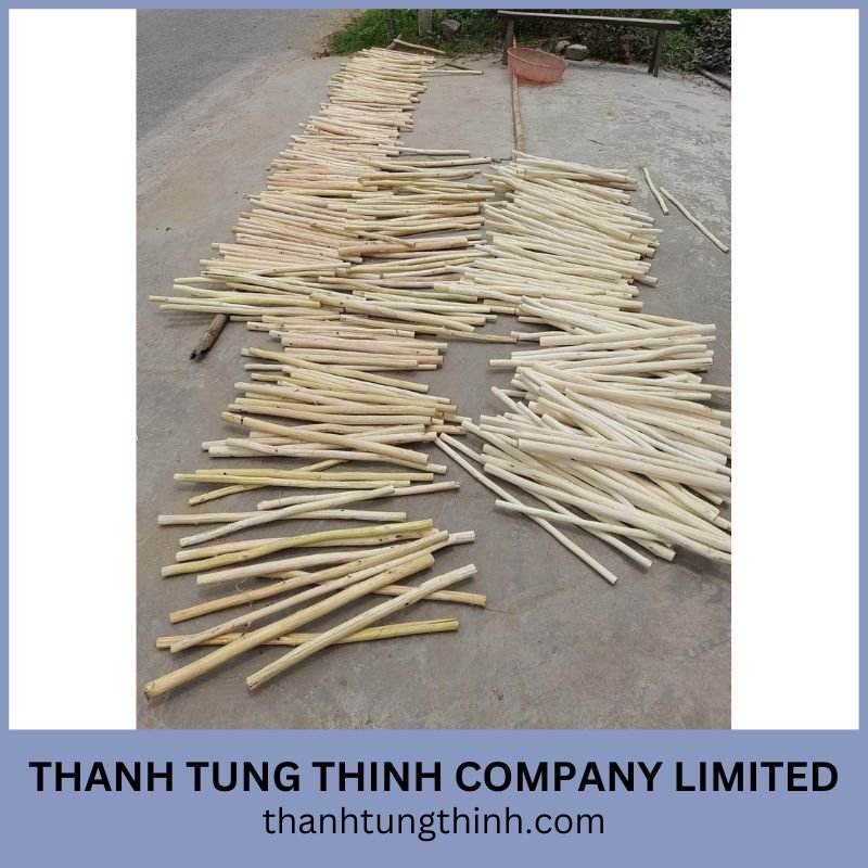 ธรรมชาติ