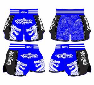 Nouveau design personnalisé BJJ MMA Muay Thai Shorts Satin Kickboxing combat troncs pour entraînement compétition vêtements de sport - Product Image 5