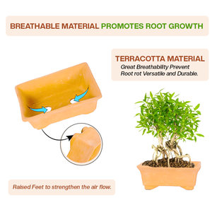 Décor de village Lot de 2 jardinières bonsaï rectangulaires en forme de plateau en terre cuite Pots de fleurs et jardinières de 2 pouces de hauteur - Product Image 6