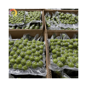 Dracontomelon Congelado de Primera Calidad, Fruta Verde IQF para Sopa y Bebidas, Venta al por Mayor, Fruta Ácida Natural de Vietnam, Calidad de Exportación a Granel - Product Image 4