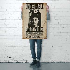 For Harry Potter Modern Design <b>Poster</b> Undesirable No. 1 Black Frame Paper Material for Wall Decor - Product Image 3