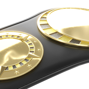 Ronpex Ceinture de lutte de championnat de haute qualité conçue sur mesure pour les arts martiaux Vêtements en gros d'usine - Product Image 4