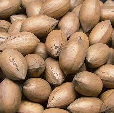 High Quality Cheap Sales Healthy Organic Baked Salty Bulk <b>Pecan</b> <b>Nuts</b> for Sale Ready for Export - Product Image 4