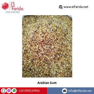 Confiserie de gomme arabique de qualité supérieure de haute qualité meilleure vente prix de gros auprès d'un exportateur de confiance - Product Image 4