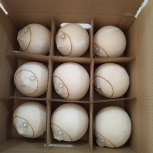 COCO FRESCO Y DULCE de VIETNAM, PRESERVADO, AL POR MAYOR, DE PRIMERA CALIDAD, ALTO ESTÁNDAR / Sra. Joyce - Product Image 2