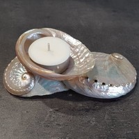 Bougie en coquillage Abalone, bougies parfumées naturelles dans les coquillages, ensemble cadeau spécial, vente en gros, OEM accepté