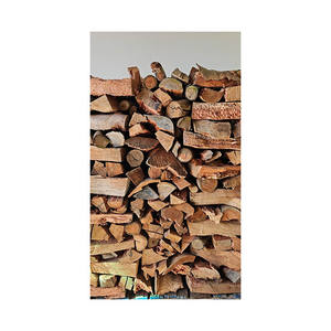 Distributeur en gros de bûches de bois d'eucalyptus durables et écologiques - Product Image 5