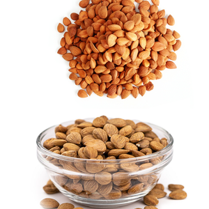 <b>Apricot</b> <b>Kernel</b> | Widely Used in Traditional Eastern Medicine - Product Image 1