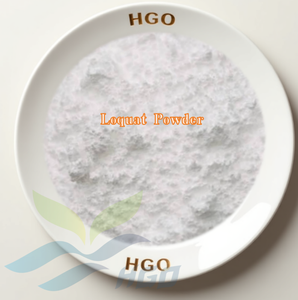 Approvisionnement direct d'usine HGO de poudre de Loquat naturelle pure (qualité alimentaire) spécification poudre de fruits (poudre de fruits ou de légumes) - Product Image 1