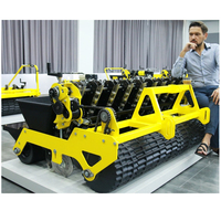 Mini planteur manuel d'ail, récolteur d'ail, planteur pour tracteur à chenilles, machine à semer les graines