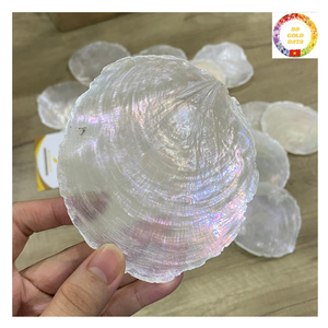 Capiz Shell Disques blancs naturels polis en gros pour bricolage artisanat Carillons éoliens faits à la main Éclairage et décor à la maison côtière - Product Image 3