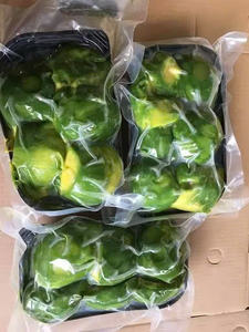 Aguacate congelado Premium al mejor precio-Puré de aguacate congelado para batidos-Frutas tropicales frescas de Vietnam-Sra. Shyn - Product Image 2