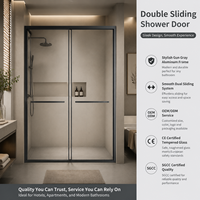 Porte de douche coulissante double en aluminium/alliage d'acier, durable, facile à nettoyer, garantie 5 ans, verre pour salle de bain