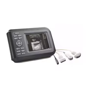 US D80 Portable Veterinary Ultrasound Machine