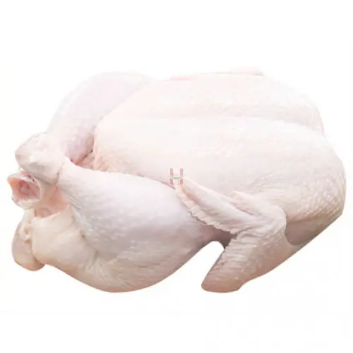 उच्च गुणवत्ता ताजा पूरे बिक्री के लिए चिकन दुनिया भर में