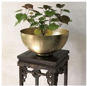 AK Brass Fancy Looked Brass Bowl Planter pour la décoration intérieure et le jardinage intérieur du fabricant indien - Product Image 3