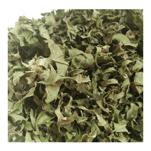 Hoja de Guayaba Seca, Material Natural de Follaje de Guayaba, Apta para Té de Hojas Sueltas y Formulación de Bebidas, de Vietnam - Product Image 5