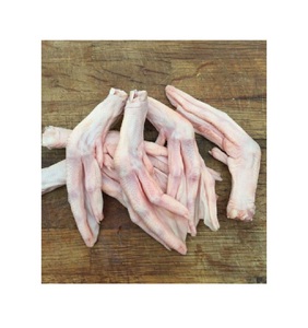 Fournisseur en gros de pattes de canard fraîches congelées pour restaurants, transformation alimentaire et entreprises culinaires - Product Image 4