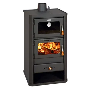 2024 Top Selling Modern Design 3.9 kg/h Fuel Consumption Freestanding Wood Burning Fireplace with Oven for House Indoor Use