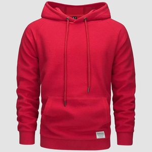Sweat-shirt à capuche en molleton pour homme, 100% coton, 500 g/m², logo imprimé personnalisé, épaules tombantes, broderie, poids lourd, vierge, pour l'automne - Product Image 5