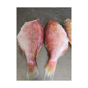 Dorade rouge congelée en vrac en vente en ligne poisson de fruits de mer frais dorade rouge acheter du poisson congelé - Product Image 4