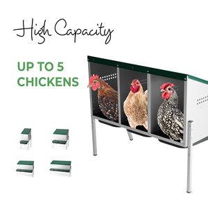 MG03-WS Nid de ponte pour 15 poules avec trois compartiments, pieds en métal et structure surélevée pour protéger les œufs des picots - Product Image 2