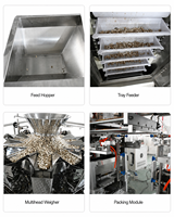 Machine d'emballage horizontale de haute qualité pour sachets Doypack préformés, pour biscuits et aliments granulés, avec peseuse multi-têtes à 10 têtes