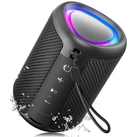 Mini enceinte Bluetooth d'extérieur étanche IPX5, son HD 15W, appairage TWS, rechargeable, LED portable pour camping, randonnée, plage