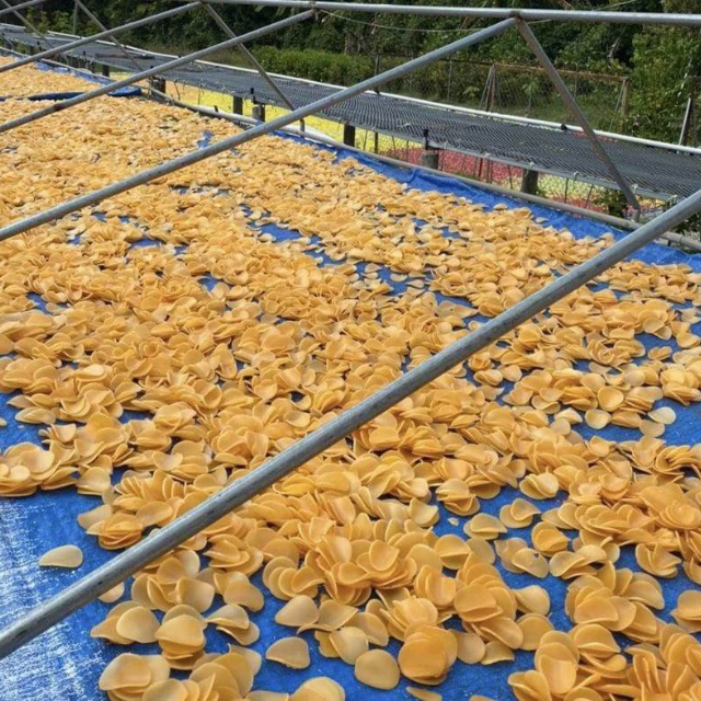 Оптом вьетнамские крекеры для креветок-здоровые закуски из морепродуктов