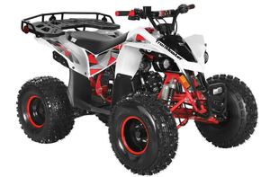 LIVRAISON RAPIDE POUR T r a i l M a s t e r s  F125 - Product Image 2