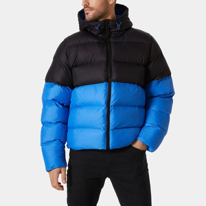 Veste d'hiver en duvet Veste européenne à capuche 100% Polyester col montant rembourré en duvet Vestes d'hiver grande taille pour hommes - Product Image 1