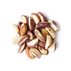 Nueces de Brasil Enteras Crudas Secas de Primera Calidad para Uso Alimentario - Product Image 1