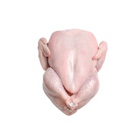 Poulet entier congelé BQF 100% Halal de qualité supérieure, emballage en vrac, enrichi en vitamines, marque FENICIA du Brésil, durée de conservation de 12 mois