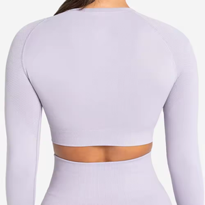 Conjunto de ropa deportiva sin costuras transpirable elástica de alta calidad para mujer, ropa de Yoga para Fitness, sujetador y mallas, ropa de gimnasio al por mayor - Product Image 2