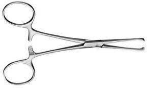 Pinzas de Acero Inoxidable para Tejido Intestinal ALLIS BABY, para Cirugía Intestinal y Estomacal, Certificación CE Clase I - Product Image 3