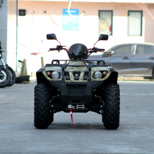 Trung Quốc Nhà Máy Chất Lượng Cao 500cc Có Thể Chuyển Đổi 4*4/4*2 Làm Mát Bằng Nước Off-Road 4WD Ổ Đĩa Bốn Bánh - Product Image 1