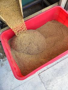 ผงปลากระดูกปลาแห้งรำข้าวที่อุดมด้วยโปรตีนจากเวียดนาม - Product Image 6