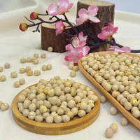Soja Edamame torréfié croustillant en vrac Mélange parfait de goût et de texture Service OEM/ODM Emballage personnalisé