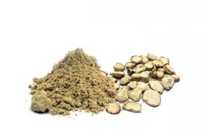 เคมเฟอเรียกาลังกามาสดสด/แห้งสินค้าขายดีจากเวียดนาม - Product Image 3