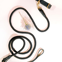 Laisse pour chien de luxe haut de gamme noire en coton écologique durable rechargeable personnalisée moderne douce élégante avec lumières