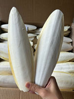 Os de Seiche Séchés de Haute Qualité du Vietnam, Certifiés HACCP ISO, Grade A, Séchage Naturel au Soleil, 4-15cm, Bon Prix - Liam