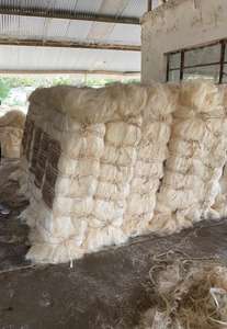 เส้นใยไซซอลคุณภาพสูง 100% ธรรมชาติ ราคาถูก ลายดิบ สำหรับผลิตภัณฑ์ไซซอล ปั่นเส้นใย คอนกรีต วัสดุเติมเต็ม ทนไฟ - Product Image 5