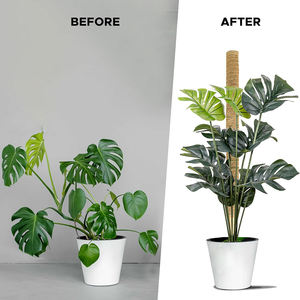 <b>Cover</b> Shipping Fee US Stock 4pcs <b>Plastic</b> Coated Moss Pole Kit with Coir Totem Pole Monstera Indoor Plant Support for <b>Greenhouse</b> - Product Image 6