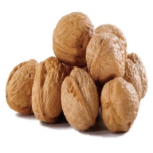 Nueces orgánicas de alta calidad Exportación a granel Nueces naturales para cadenas de comestibles Fabricantes de alimentos y mercados globales - Product Image 3