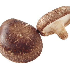 Vente en gros de champignons Shiitake séchés naturels purs Akina - Product Image 1