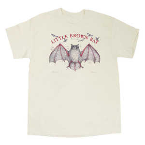 Custom Print T-<b>shirt</b> <b>Men's</b> Tee <b>Shirt</b> <b>Thick</b> Collar 100% Cotton 320gsm Heavyweight Plain Oversized Mock Neck unisex T-<b>shirt</b> - Product Image 2