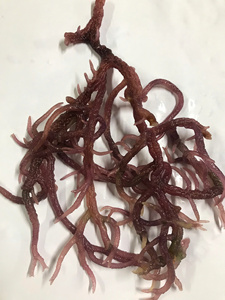 Mousse de mer séchée vietnamienne de qualité supérieure infusée de délicieux assaisonnements et d'algues nori, emballée commodément dans des sacs - Product Image 3